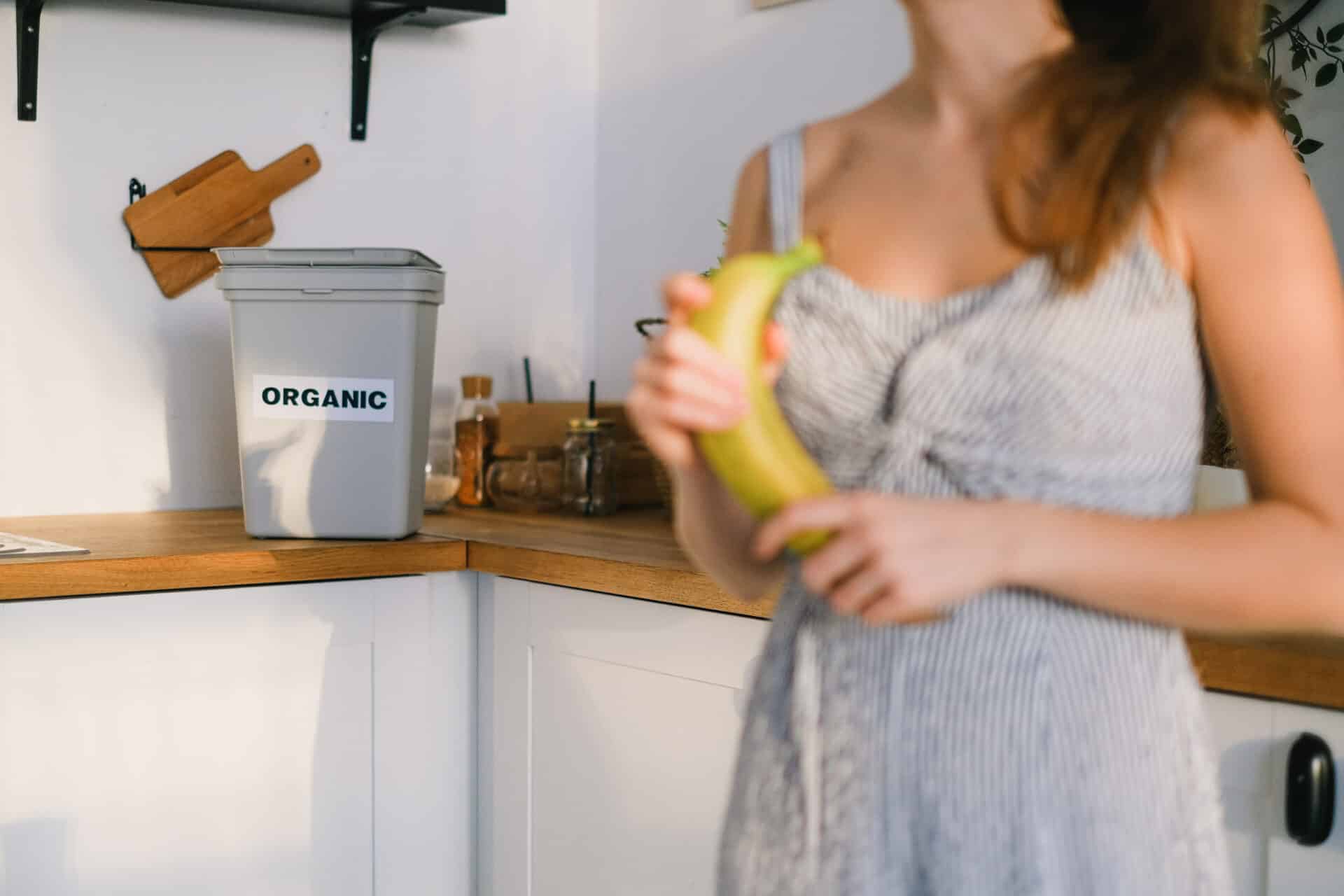 How To Get Rid Of Fruit Flies In Compost