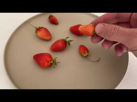 How To Ripen Strawberries After They’re Picked
