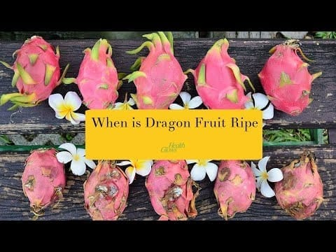 How To Know When Dragon Fruit Is Bad