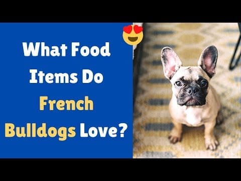 Can Frenchies Have Strawberries