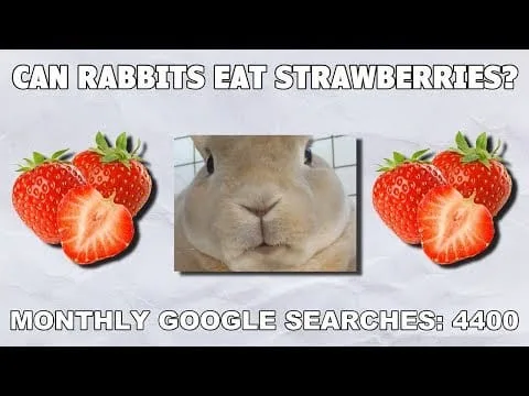 Can Rabbit Eat Strawberry